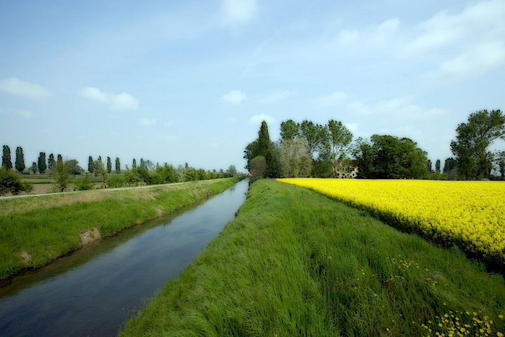 Copertina - Il Fiume Tergola